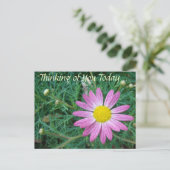 roze Daisy Briefkaart (Staand voorkant)