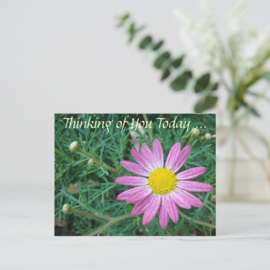  roze Daisy Briefkaart (Staand voorkant)