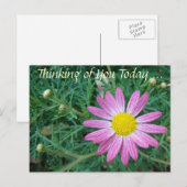 roze Daisy Briefkaart (Voorkant / Achterkant)