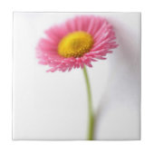 Roze Daisy Ceramic Tile Tegeltje (Voorkant)