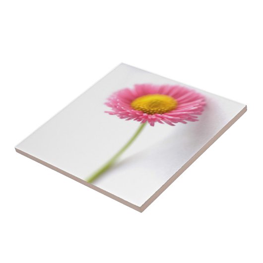 Roze Daisy Ceramic Tile Tegeltje (Zijkant)