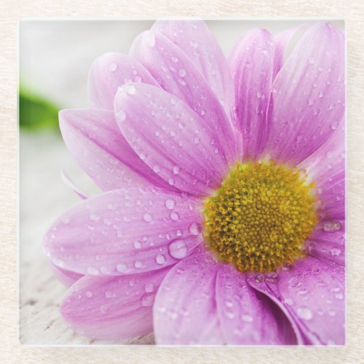 Roze Daisy Flower Glass Onderzetter (Voorkant)