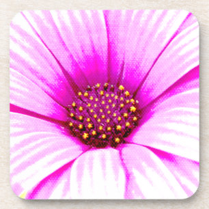 Roze Daisy Flower Onderzetters
