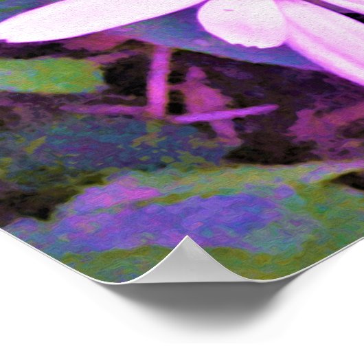 Roze Daisy Flower Poster (Hoek)