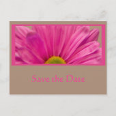 Roze Daisy Flower Save the Date Notice Aankondigingskaart (Voorkant)