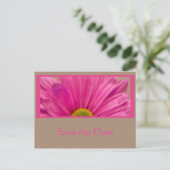 Roze Daisy Flower Save the Date Notice Aankondigingskaart (Staand voorkant)