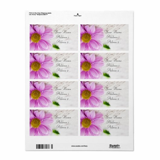 Roze Daisy Flower Shipping Labels (Full Sheet)