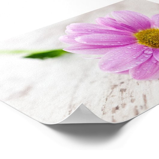 Roze Daisy Flower Value-Poster Poster (Hoek)