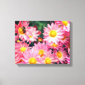 Roze Daisy Flowers en Bumble Bee Canvas Afdruk (Voorkant)