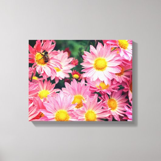 Roze Daisy Flowers en Bumble Bee Canvas Afdruk (Voorkant)