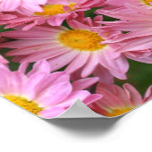 Roze Daisy Flowers en Bumble Bee Mirror Abstract Poster (Hoek)
