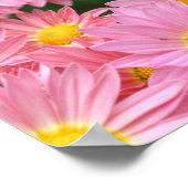 Roze Daisy Flowers en Bumble Bee Poster (Hoek)