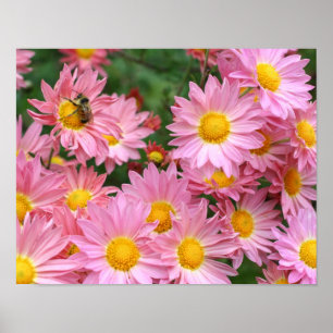 Roze Daisy Flowers en Bumble Bee Poster