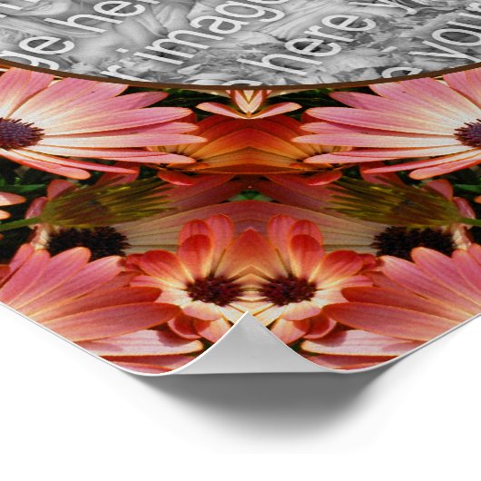 Roze Daisy Flowers Lijst Creëer Uw eigen foto Poster (Hoek)