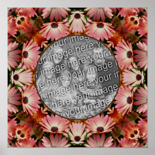Roze Daisy Flowers Lijst Creëer Uw eigen foto Poster