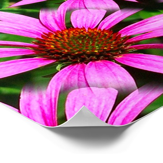 Roze Daisy Flowers Spiegel Abstract Poster (Hoek)