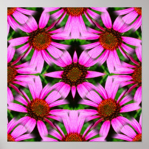 Roze Daisy Flowers Spiegel Abstract Poster
