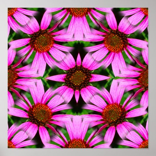 Roze Daisy Flowers Spiegel Abstract Poster (Voorkant)