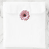 Roze Daisy Gerbera Ronde Sticker (Tas)