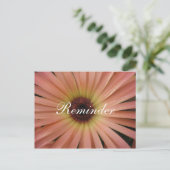 Roze Daisy Herinnering Postkaart (Staand voorkant)