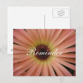 Roze Daisy Herinnering Postkaart (Voorkant / Achterkant)