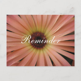 Roze Daisy Herinnering Postkaart