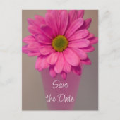 Roze Daisy in Vase Wedding sparen de Datum Aankondigingskaart (Voorkant)