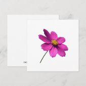 ROZE DAISY, LEEG ALL OCCASION KAART (Voorkant / Achterkant)