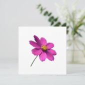ROZE DAISY, LEEG ALL OCCASION KAART (Staand voorkant)