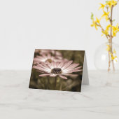 Roze Daisy Macro Notecard Kaart (Gele Bloem)