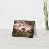 Roze Daisy Macro Notecard Kaart (Voorkant)
