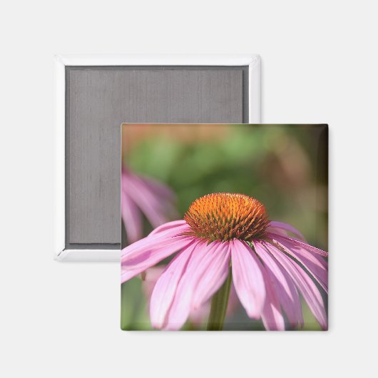 Roze Daisy Magnet (Voorkant / Achterkant)