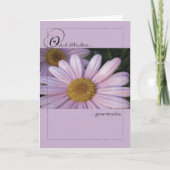 Roze Daisy Miracles Kaart (Voorkant)