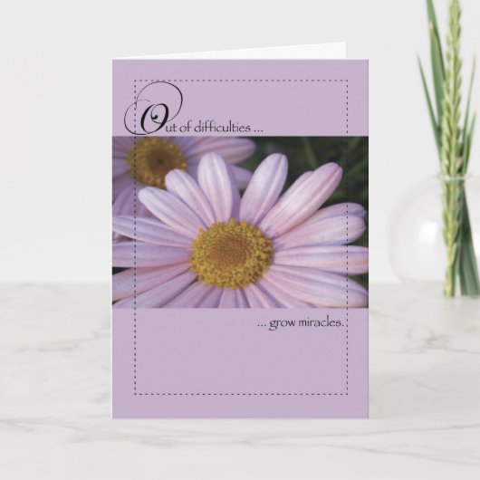 Roze Daisy Miracles Kaart (Voorkant)
