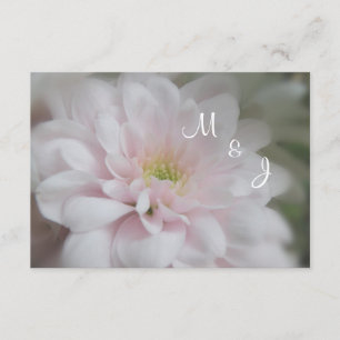 Roze Daisy Mum Wedding Response RSVP-kaart RSVP Kaartje