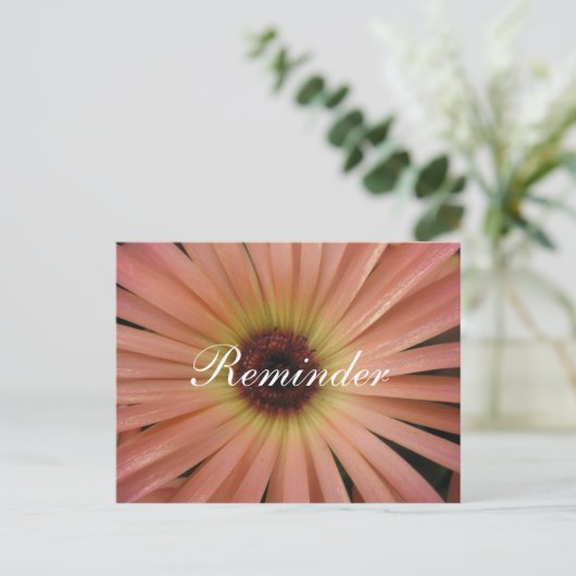 Roze Daisy Reminder Post Kaart (Staand voorkant)