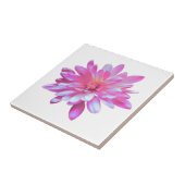 Roze Daisy roze bloemen roze bloem Tegeltje (Zijkant)