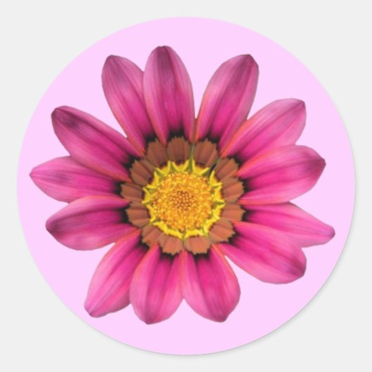 Roze Daisy Sticker (Voorkant)