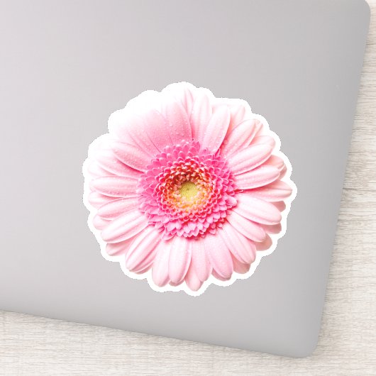 Roze Daisy  Sticker (Detail)