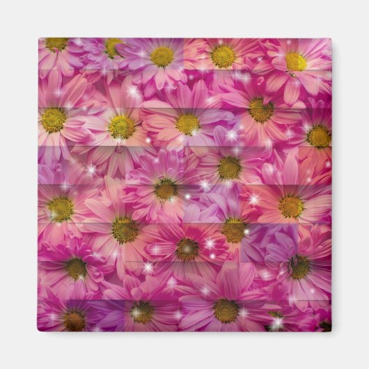 Roze Daisy Weave Magneet (Voorkant)