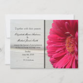 Roze Daisy Wedding Uitnodiging (Voorkant)