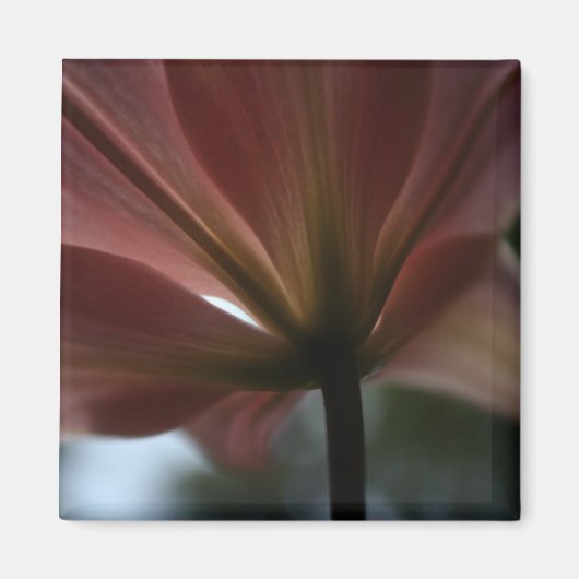 Roze dame magneet (Voorkant)