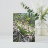 Roze dame slipper Orchid Briefkaart (Staand voorkant)