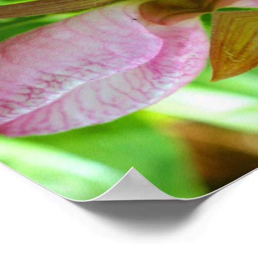 Roze dame Slipper Orchid Flower Abstract Poster (Hoek)