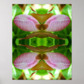 Roze dame Slipper Orchid Flower Abstract Poster (Voorkant)