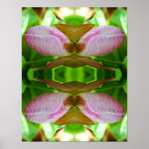 Roze dame Slipper Orchid Flower Abstract Poster