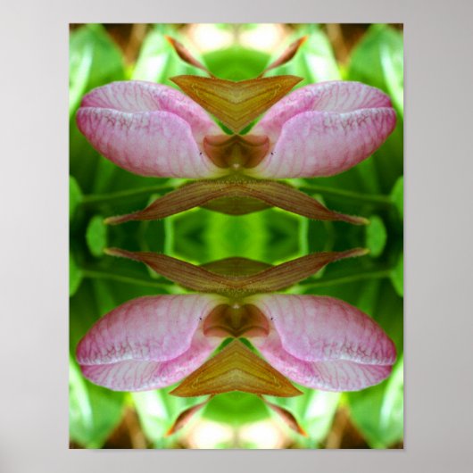 Roze dame Slipper Orchid Flower Abstract Poster (Voorkant)
