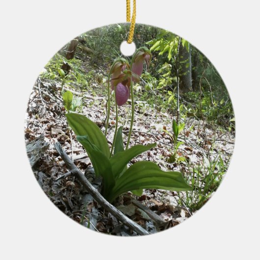 Roze dame slipper Orchid Keramisch Ornament (Voorkant)