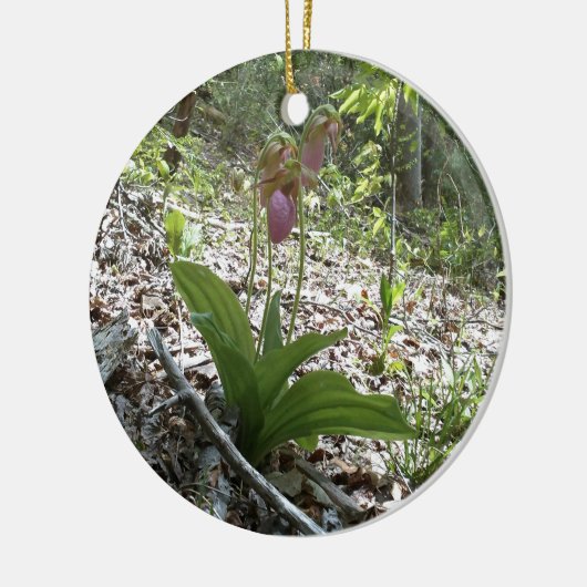 Roze dame slipper Orchid Keramisch Ornament (Links)