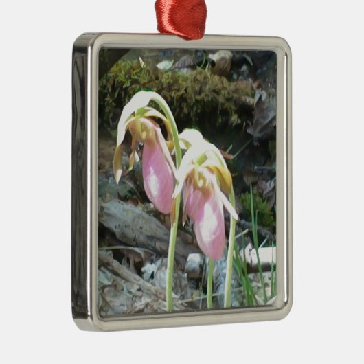 Roze dame slipper Orchid Metalen Ornament (Rechts)